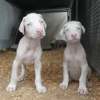 processed/23974372-20b7-41c7-a12a-262b3edb7518/facility/1beeae73-04da-4c0a-bdc6-e4785ad07540