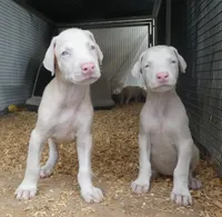 processed/23974372-20b7-41c7-a12a-262b3edb7518/facility/1beeae73-04da-4c0a-bdc6-e4785ad07540