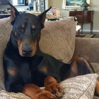 processed/23974372-20b7-41c7-a12a-262b3edb7518/facility/384511fe-be27-473f-b980-57e681d16821