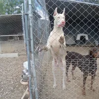 processed/23974372-20b7-41c7-a12a-262b3edb7518/facility/4c1f52e3-4ad5-41c5-9606-4fe5810b3c3f