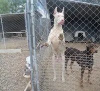 processed/23974372-20b7-41c7-a12a-262b3edb7518/facility/4c1f52e3-4ad5-41c5-9606-4fe5810b3c3f