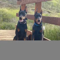 processed/23974372-20b7-41c7-a12a-262b3edb7518/facility/56d312ec-f33c-4abf-95ae-cde2f4f0495c