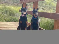 processed/23974372-20b7-41c7-a12a-262b3edb7518/facility/56d312ec-f33c-4abf-95ae-cde2f4f0495c