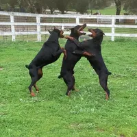 processed/23974372-20b7-41c7-a12a-262b3edb7518/facility/5719f3aa-0a43-4c59-8b53-03dcaa5f8807