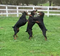 processed/23974372-20b7-41c7-a12a-262b3edb7518/facility/5719f3aa-0a43-4c59-8b53-03dcaa5f8807