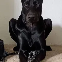 processed/23974372-20b7-41c7-a12a-262b3edb7518/facility/82b4ba49-d678-435f-81e3-1e818afae5b8