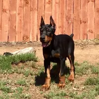 processed/23974372-20b7-41c7-a12a-262b3edb7518/facility/a6ea2c4d-dc7a-419d-add0-ce7faa55ee94