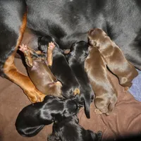 processed/23974372-20b7-41c7-a12a-262b3edb7518/facility/ca04882b-cb36-43ec-be3c-986c23964f21