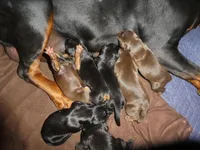 processed/23974372-20b7-41c7-a12a-262b3edb7518/facility/ca04882b-cb36-43ec-be3c-986c23964f21