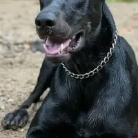 processed/23974372-20b7-41c7-a12a-262b3edb7518/facility/ce0678d1-b086-413b-9a39-9948a1520096