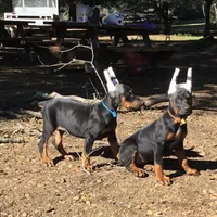 processed/23974372-20b7-41c7-a12a-262b3edb7518/facility/e2b9ff4d-bfec-4aa3-b22a-69faa7fb7b96