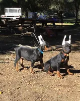 processed/23974372-20b7-41c7-a12a-262b3edb7518/facility/e2b9ff4d-bfec-4aa3-b22a-69faa7fb7b96