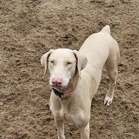 processed/23974372-20b7-41c7-a12a-262b3edb7518/listing/83759ca8-9cb5-44ba-b1b2-c59895179d19/971727a5-39fa-4b2f-a314-4c218ae94909