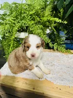 processed/239793ab-78e3-4a7f-8a81-61dac92ffdca/listing/4bda29a2-e770-4180-81a4-622a3ed9c247/482114c1-b906-4faa-890e-8041aaf369a6