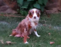 processed/239793ab-78e3-4a7f-8a81-61dac92ffdca/listing/4bda29a2-e770-4180-81a4-622a3ed9c247/c6a38bf7-a036-40ea-87f0-3305243e07c2