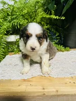 processed/239793ab-78e3-4a7f-8a81-61dac92ffdca/listing/e70e194e-8365-4060-99d2-a75a03c11a2d/430d8258-4682-4951-9d6c-edc169cef263