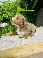 processed/239793ab-78e3-4a7f-8a81-61dac92ffdca/listing/ee2a05ad-0066-4d69-8b9d-506adf62a3b1/42753bca-ca76-4a24-bd2a-70c57b40f27d