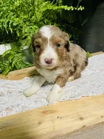 processed/239793ab-78e3-4a7f-8a81-61dac92ffdca/listing/ee2a05ad-0066-4d69-8b9d-506adf62a3b1/589536f1-accd-4c5b-93e5-6ffd01b4957b