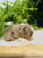 processed/239793ab-78e3-4a7f-8a81-61dac92ffdca/listing/ee2a05ad-0066-4d69-8b9d-506adf62a3b1/739b82ec-4954-4ed2-9cce-87b2b42b3f4a