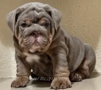 processed/239b95cd-c7ae-4a90-b280-738fee5eb481/facility/b5bee4bc-c588-435a-8a20-d82604247257