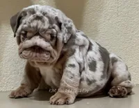 processed/239b95cd-c7ae-4a90-b280-738fee5eb481/facility/d6cad234-277b-4868-8a1e-1967e6de772f