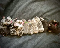 processed/239b95cd-c7ae-4a90-b280-738fee5eb481/facility/fe8a9f95-1a87-47f0-aeec-047af6536076