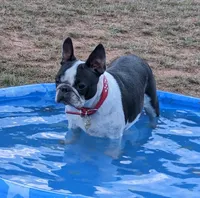 processed/239f3007-6fc1-4bb3-bca4-94f8905074e0/facility/37cb9fa9-3f30-4c9b-a8cd-26ceee57edff