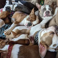 processed/239f3007-6fc1-4bb3-bca4-94f8905074e0/facility/4e49e433-d6d6-4296-b1ce-609de5f014f4