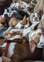 processed/239f3007-6fc1-4bb3-bca4-94f8905074e0/facility/4e49e433-d6d6-4296-b1ce-609de5f014f4