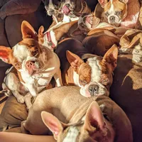 processed/239f3007-6fc1-4bb3-bca4-94f8905074e0/facility/b1925423-a246-4d35-923b-f636f6ccefb7