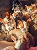 processed/239f3007-6fc1-4bb3-bca4-94f8905074e0/facility/b1925423-a246-4d35-923b-f636f6ccefb7