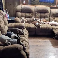 processed/239f3007-6fc1-4bb3-bca4-94f8905074e0/facility/ce0e51ca-3f3d-453b-8cc8-736a48d7ee01