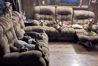 processed/239f3007-6fc1-4bb3-bca4-94f8905074e0/facility/ce0e51ca-3f3d-453b-8cc8-736a48d7ee01