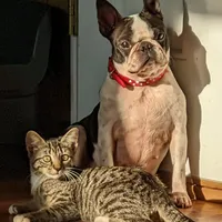 processed/239f3007-6fc1-4bb3-bca4-94f8905074e0/facility/fef5ded8-e5e0-4bd7-8da8-fe1f62686760