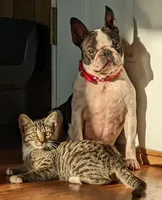 processed/239f3007-6fc1-4bb3-bca4-94f8905074e0/facility/fef5ded8-e5e0-4bd7-8da8-fe1f62686760