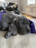 processed/239f7414-8ba5-4bc4-8a33-832fde52bd6a/listing/31e7db59-d7d5-4783-b7af-369f87b868a8/2160024c-9d73-44f4-8988-2674dbff65c3