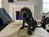 processed/239f7414-8ba5-4bc4-8a33-832fde52bd6a/listing/31e7db59-d7d5-4783-b7af-369f87b868a8/5fa96342-4514-4da0-997a-3fc1f3ca9040