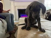 processed/239f7414-8ba5-4bc4-8a33-832fde52bd6a/listing/31e7db59-d7d5-4783-b7af-369f87b868a8/cb3cf3ca-23bb-473b-940a-c11545eeaedc