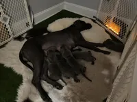 processed/239f7414-8ba5-4bc4-8a33-832fde52bd6a/listing/31e7db59-d7d5-4783-b7af-369f87b868a8/fe40ce36-3053-47e2-a16c-e13598aaf063