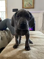 processed/239f7414-8ba5-4bc4-8a33-832fde52bd6a/listing/3b29ead5-7667-46f0-b894-f24a11519bbe/5b512f8a-1da7-469a-b7b1-e78cbeb027e1