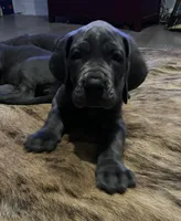 processed/239f7414-8ba5-4bc4-8a33-832fde52bd6a/listing/3b29ead5-7667-46f0-b894-f24a11519bbe/6785b0d1-8f82-4494-a372-6b3fd9d1a192