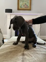 processed/239f7414-8ba5-4bc4-8a33-832fde52bd6a/listing/3b29ead5-7667-46f0-b894-f24a11519bbe/6af1f617-42f6-4933-abe6-4c6123998f1d