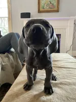 processed/239f7414-8ba5-4bc4-8a33-832fde52bd6a/listing/3b29ead5-7667-46f0-b894-f24a11519bbe/8e8e5fbb-36b2-4b8b-876d-be45f5f8b69e