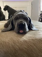 processed/239f7414-8ba5-4bc4-8a33-832fde52bd6a/listing/3b29ead5-7667-46f0-b894-f24a11519bbe/9d378175-a161-43b9-8633-8af1c8318b70