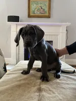 processed/239f7414-8ba5-4bc4-8a33-832fde52bd6a/listing/3b29ead5-7667-46f0-b894-f24a11519bbe/fbfad3c2-5ea8-418d-a7b6-5fc77d81f4f0