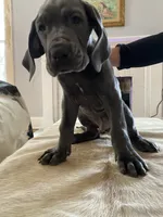 processed/239f7414-8ba5-4bc4-8a33-832fde52bd6a/listing/3b29ead5-7667-46f0-b894-f24a11519bbe/ff98a831-655e-4761-8d87-1e4cb7157595