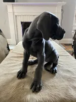 processed/239f7414-8ba5-4bc4-8a33-832fde52bd6a/listing/77b1e594-aea0-4926-bcb5-4dc62ce2e564/07dc646e-d516-4551-9cdd-558852275719