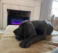 processed/239f7414-8ba5-4bc4-8a33-832fde52bd6a/listing/77b1e594-aea0-4926-bcb5-4dc62ce2e564/85d08d91-781c-46de-b2ce-bdbdc0d55dc3