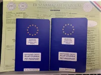 processed/239f7414-8ba5-4bc4-8a33-832fde52bd6a/listing/77b1e594-aea0-4926-bcb5-4dc62ce2e564/930f87fb-1033-43a4-9989-7ce7c0ca1611