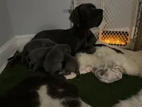 processed/239f7414-8ba5-4bc4-8a33-832fde52bd6a/listing/77b1e594-aea0-4926-bcb5-4dc62ce2e564/9742f317-247f-48f4-99c1-dca12a338407